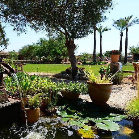 Agroturismo Finca Sant Blai Campos  Zewnętrze zdjęcie