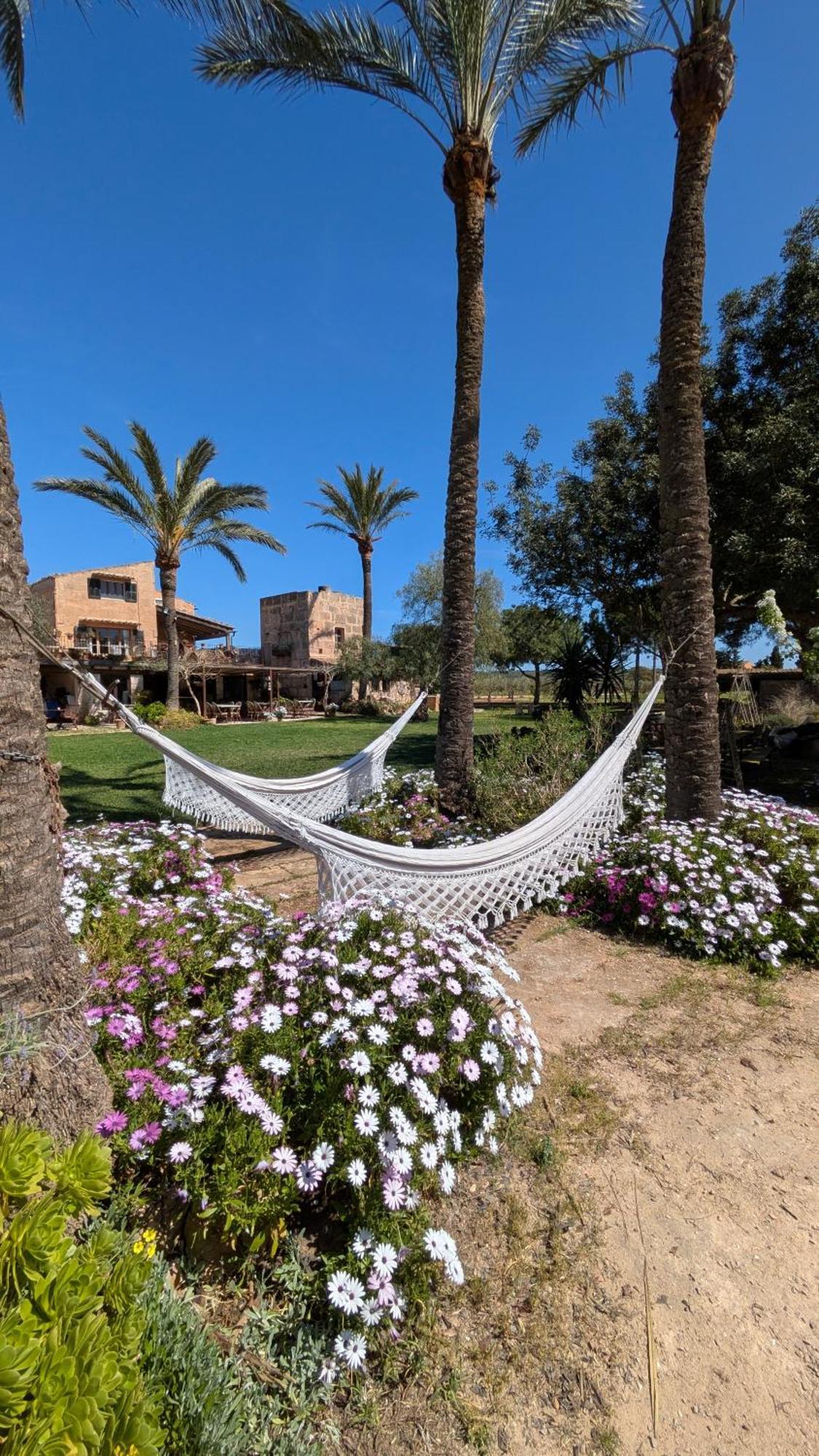 Agroturismo Finca Sant Blai Campos  Zewnętrze zdjęcie