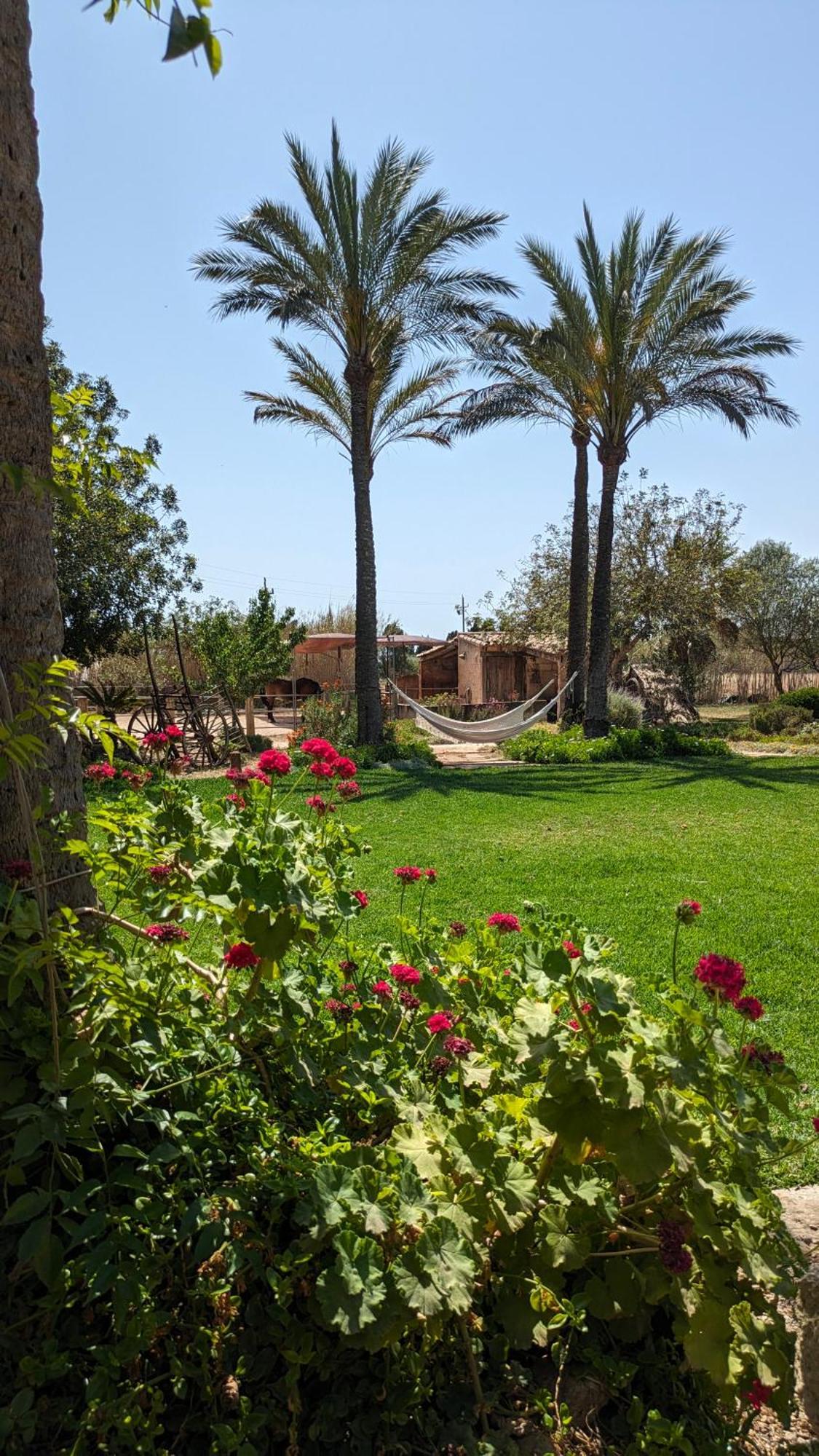 Agroturismo Finca Sant Blai Campos  Zewnętrze zdjęcie