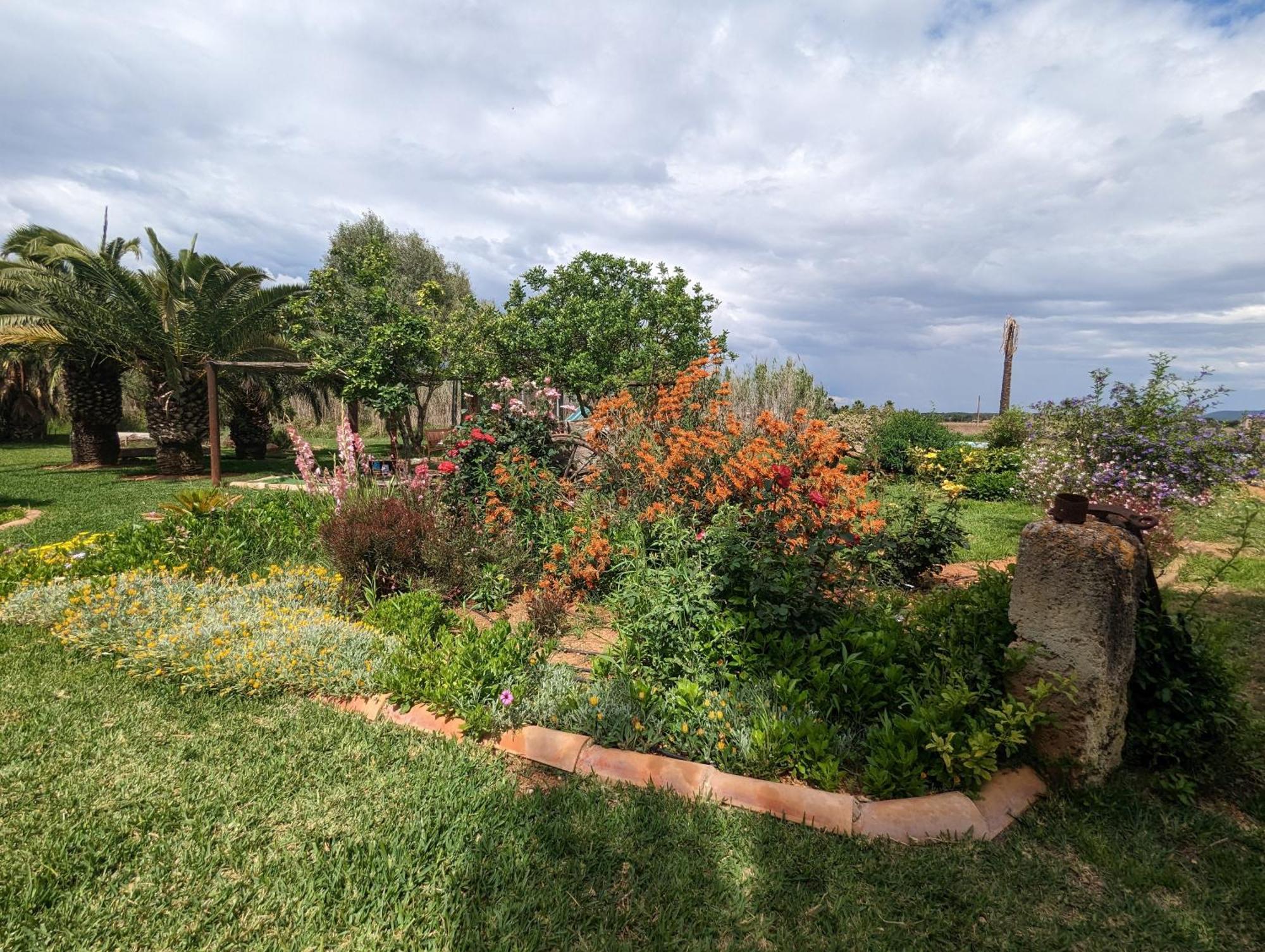 Agroturismo Finca Sant Blai Campos  Zewnętrze zdjęcie