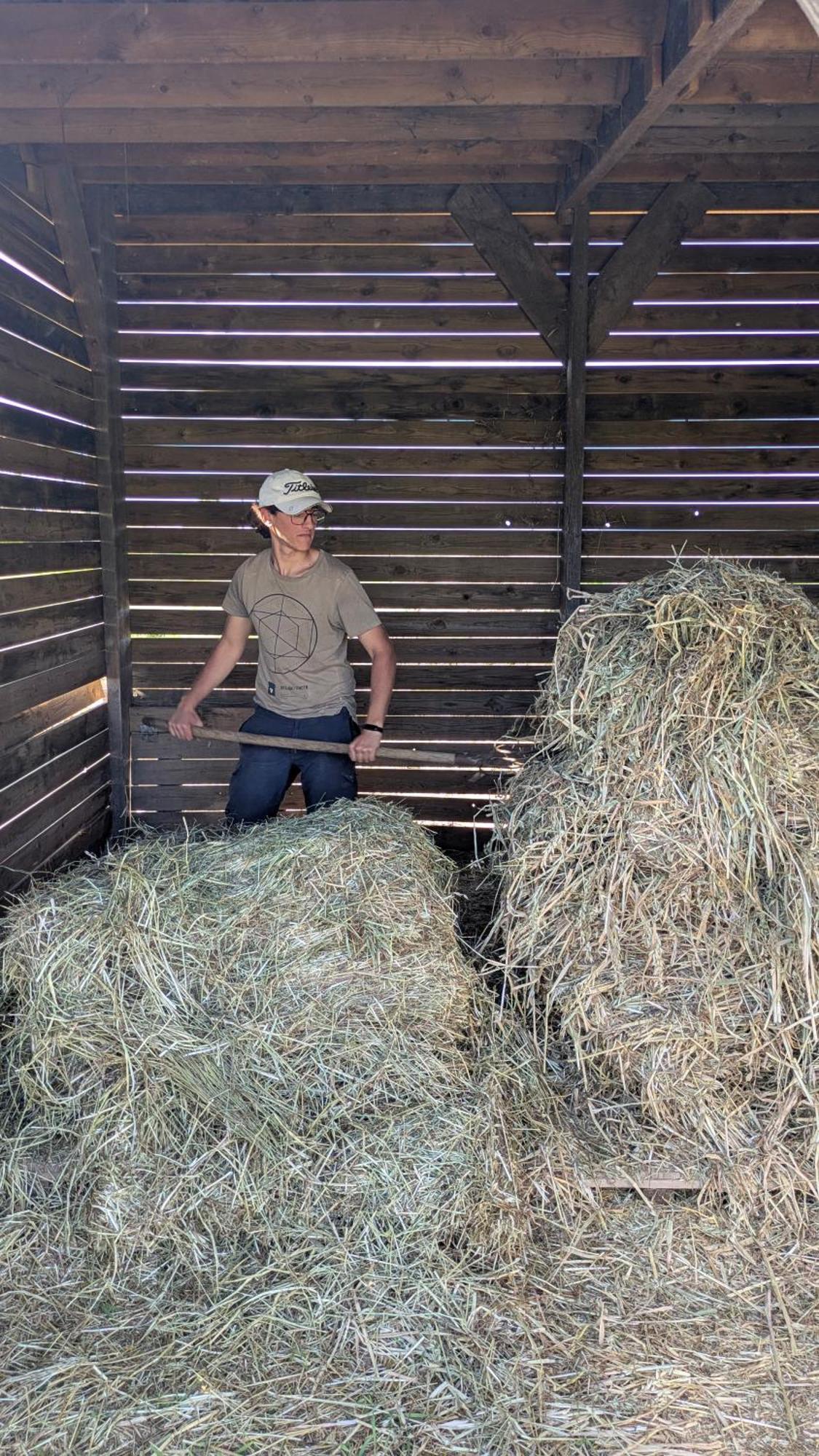 Agroturismo Finca Sant Blai Campos  Zewnętrze zdjęcie
